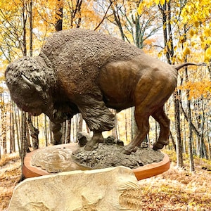 Signed Prairie Spring Ralph Crawford Solid Bronze Buffalo Western Sculpture