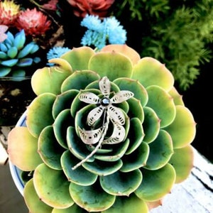 Vintage Signed Sterling Silver Marcasite Filigree Ornate Flower Pin Brooch