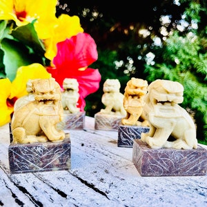 Può includere: Diverse statue di cani Foo in pietra scolpita, in varie tonalità di beige e crema, sono esposte. Ogni statua è posta su una base quadrata decorata. Sullo sfondo, fiori gialli e rossi vivaci.