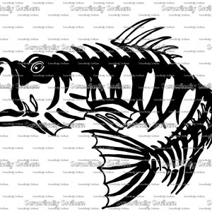 Fish Skeleton Bone on Black' Disc Animal Metal Circle Wall Art