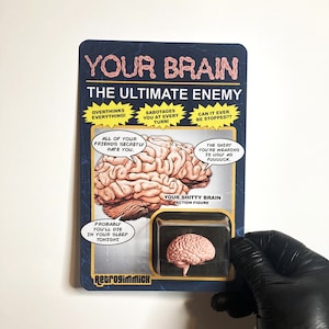 Your brain