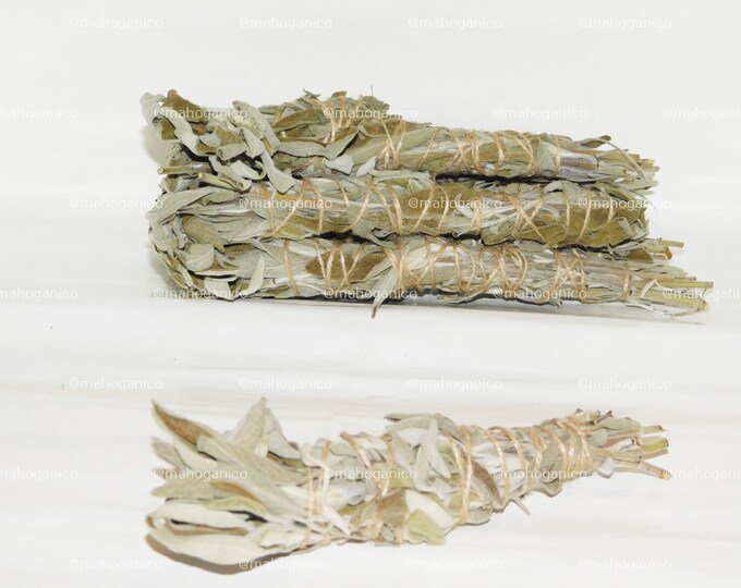 Sage Smudge Sticks | House Cleansing Smudge Sticks | Meditation Smudge Sticks | Aura Cleansing Smudge Sticks