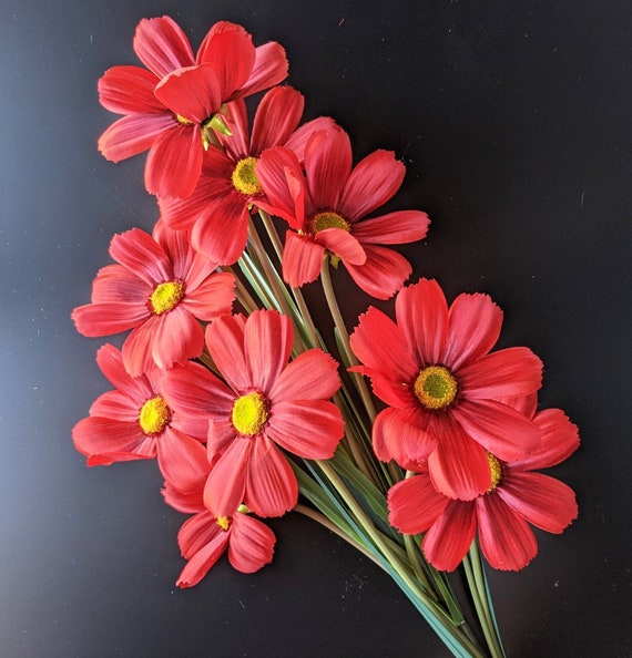 Bouquet de paquet de fleur rouge de Cosmos fleur fleurissant - Etsy France