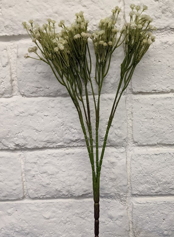 2 Bundle Lavender Gypso Gypsophila Bush Baby Breath Floral Etsy 2 Bundle Lavender Gypso Gypsophila Bush Baby Breath Floral Etsy