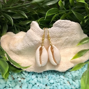 Cowrie shell earrings