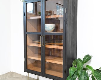 Modern Display Cabinet Woodworking Plans - Glass Door Bookcase PDF Build Plans