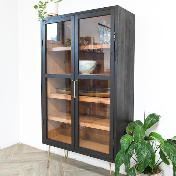 Modern Display Cabinet Woodworking Plans - Glass Door Bookcase PDF Build Plans