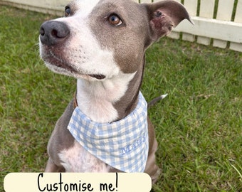 Personalised Pet Bandana - Blue Plaid