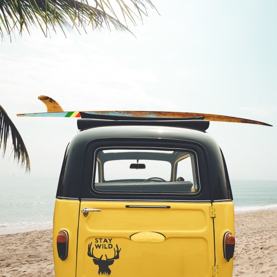 Stay Wild Decal: Car, Laptop, Window Vinyl Sticker