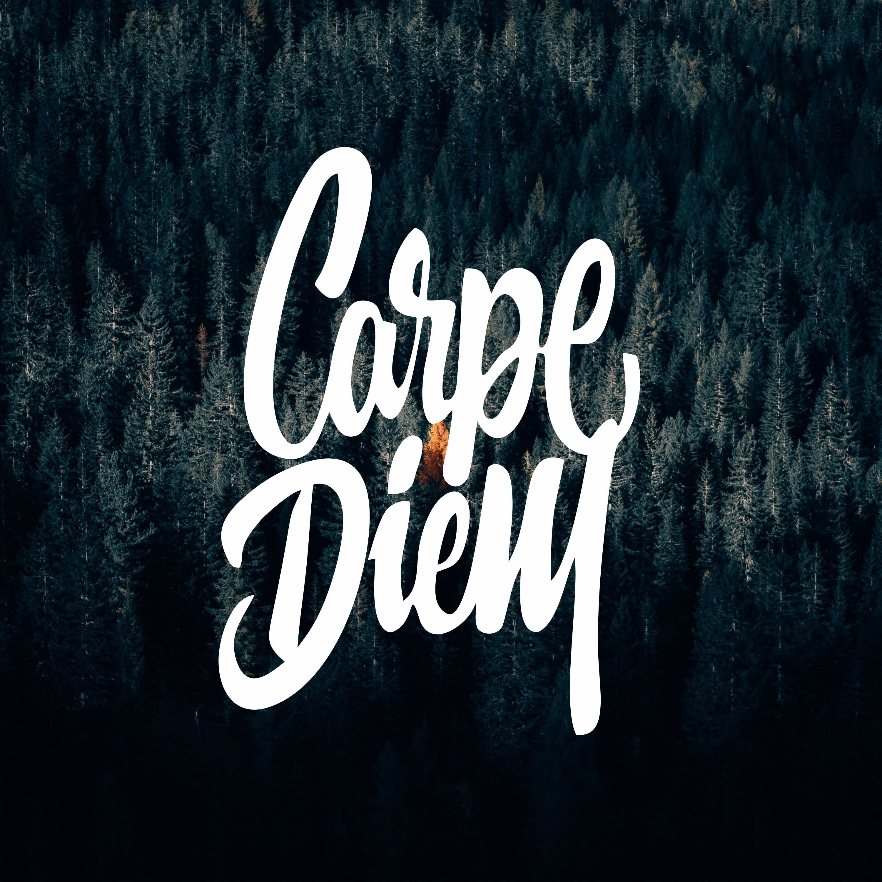 Carpe Diem Decal Carpe Diem Sticker Wall Sticker Car - Etsy Ireland Carpe Diem Decal Carpe Diem Sticker Wall Sticker Car - Etsy Ireland