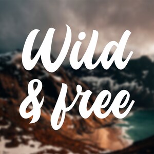 Wild free decal Wild and free decal Car decal Vinyl decal Laptop decal Macbook decal Imac decal Ipad decal Tablet decal Inspiration decal
