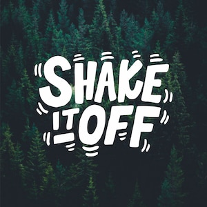 Shake It Off Decal: Funny Laptop Sticker, Car Bumper Decal