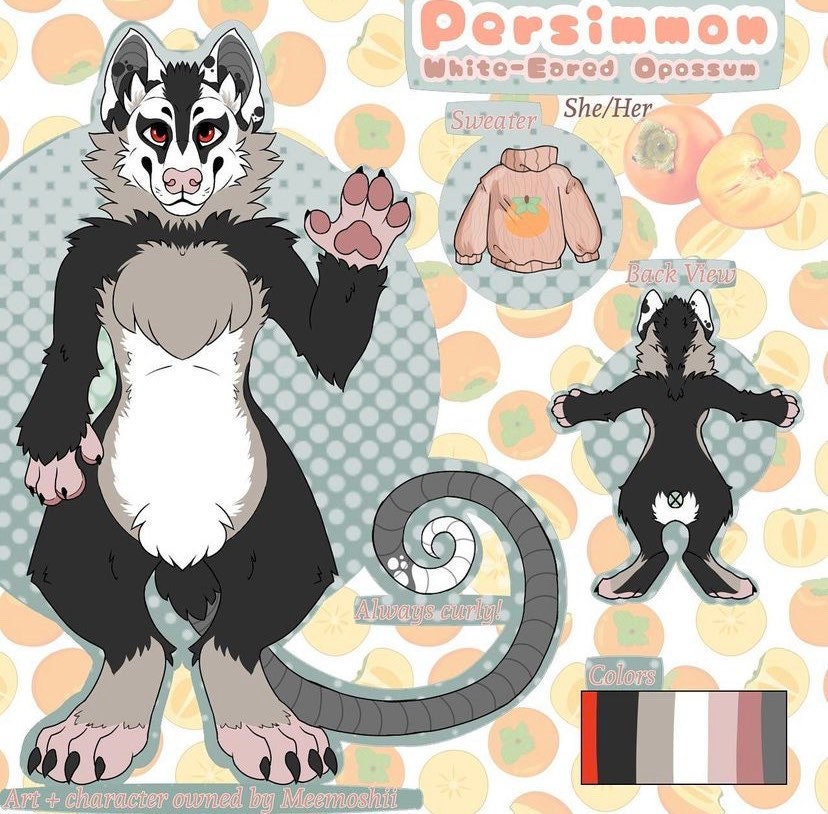 Digital Furry Fursona Ref Reference Character Sheet - www.glwec.in