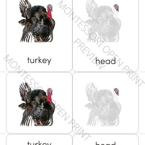 Montessori 3 Part Cards Parts of a Turkey - Etsy