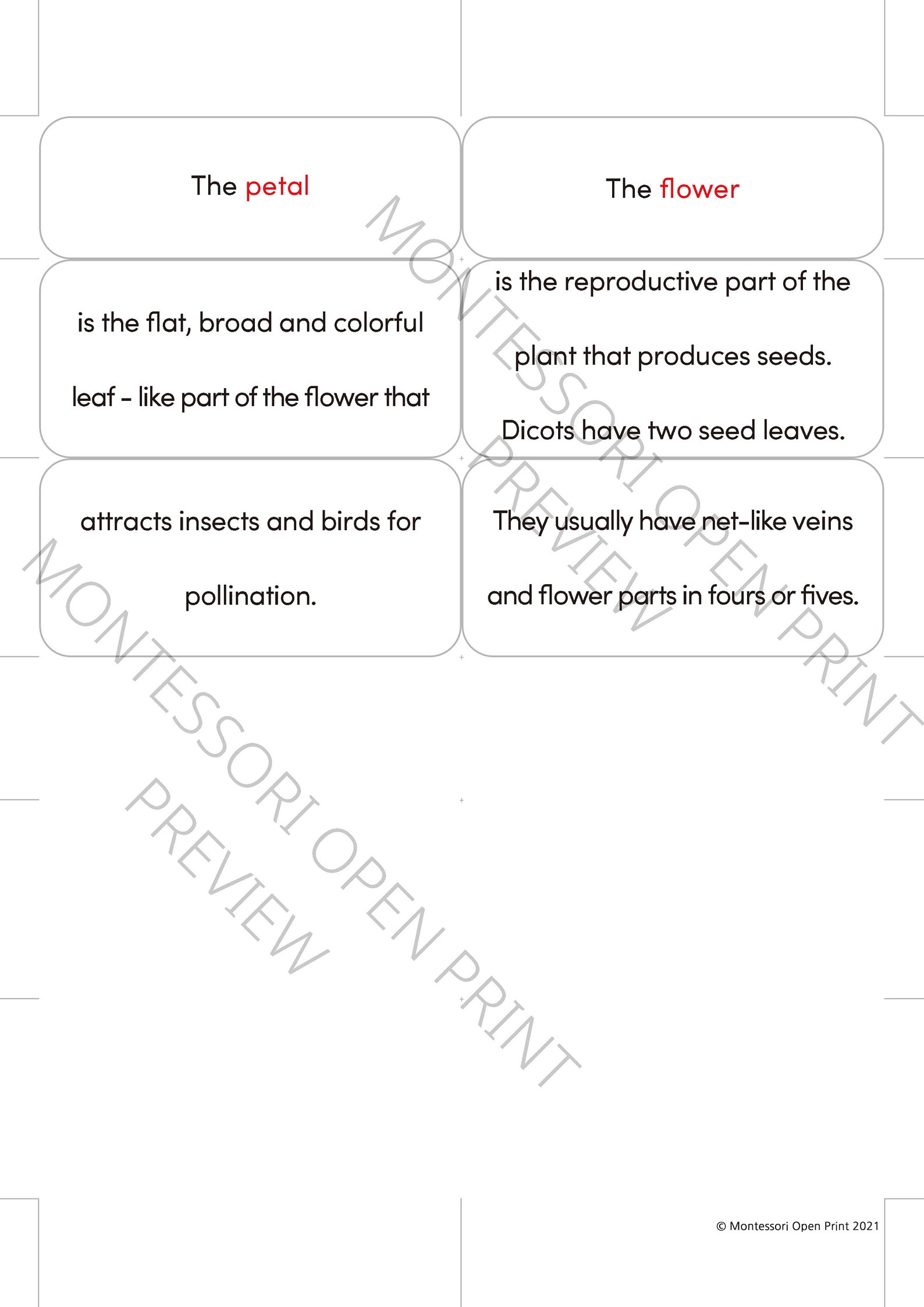 Montessori 3 Part Cards and Definitions Parts of the Dicot Flower - Etsy