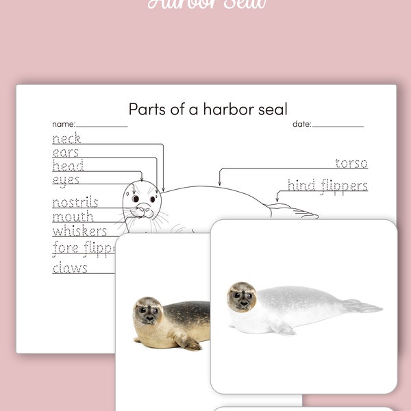 Montessori 3 Part Cards- Parts of a Harbor Seal