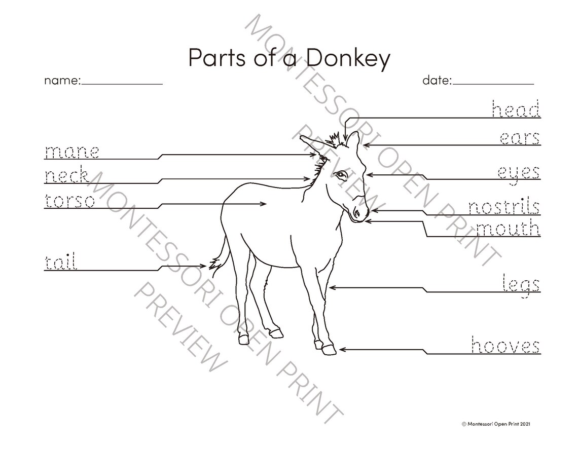 Montessori 3 Part Cards Parts of a Donkey - Etsy