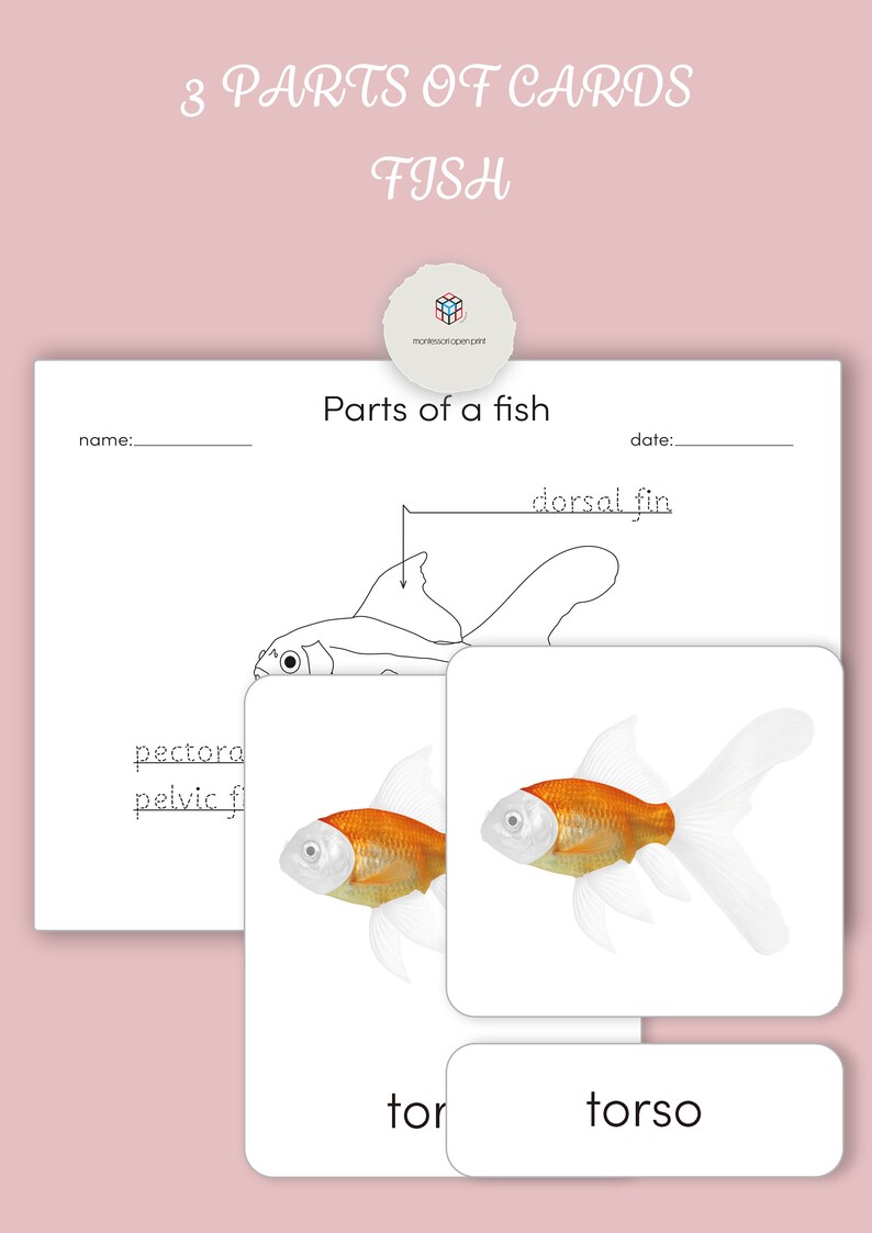 fish add tab browser fish add tab browser