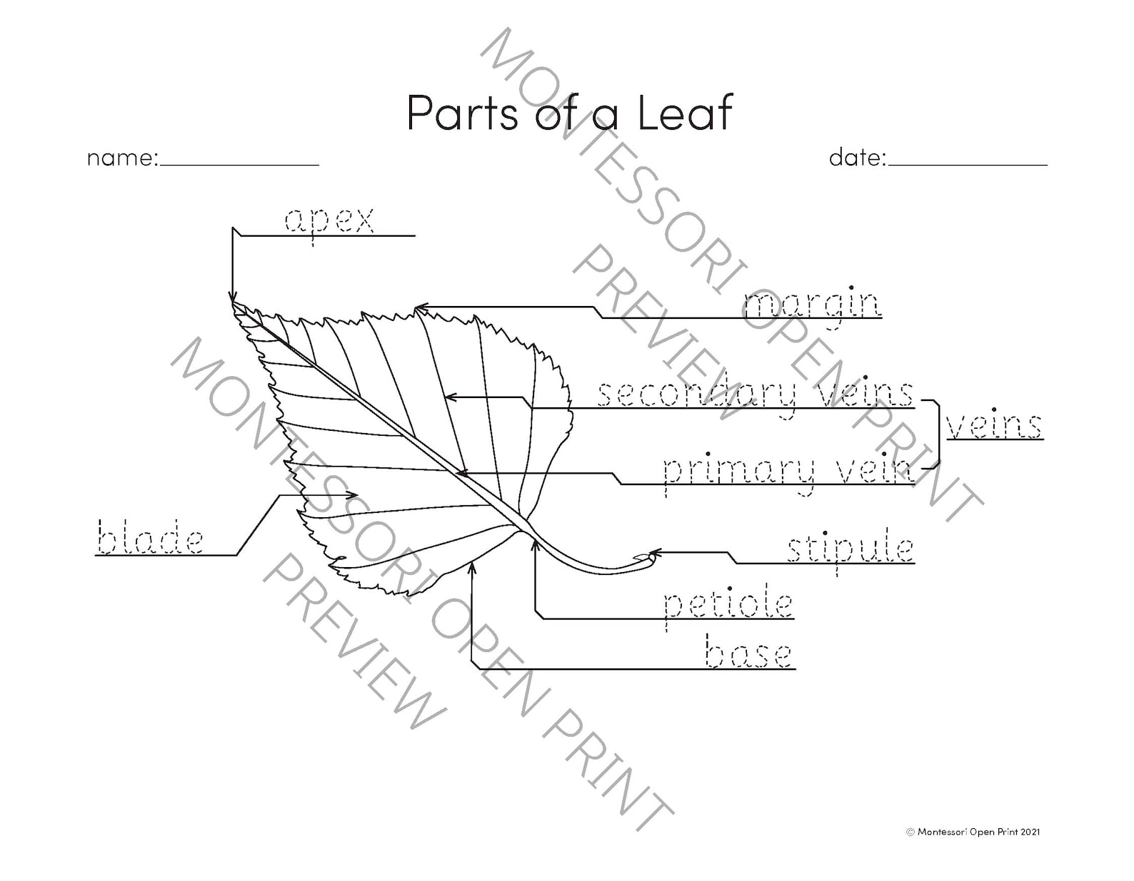Montessori 3 Part Cards Parts of a Leaf - Etsy