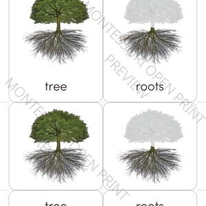 Montessori 3 Part Cards Parts of a Tree - Etsy