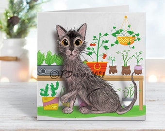 Lykoi Cat, Handmade Card, Card For Cat Lover, Lykoi Greetings Card, Cat Greeting Card, Cat Birthday Card, Cat Card Funny