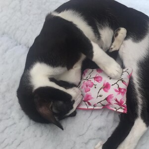 May include: A black and white cat curled up on a white fluffy surface, sleeping on a pink floral cushion.