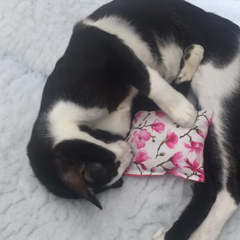 May include: A black and white cat curled up on a white fluffy surface, sleeping on a pink floral cushion.