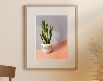 SNAKE PLANT art print for a plant lover Gift for her Gift for a plant mama Gifts for art lovers Potted plant Part of series Set of two