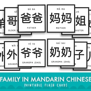 Family Members in Chinese Mandarin: Printable Flash Cards
