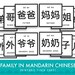 Family Members in Chinese Mandarin: Printable Flash Cards - Etsy