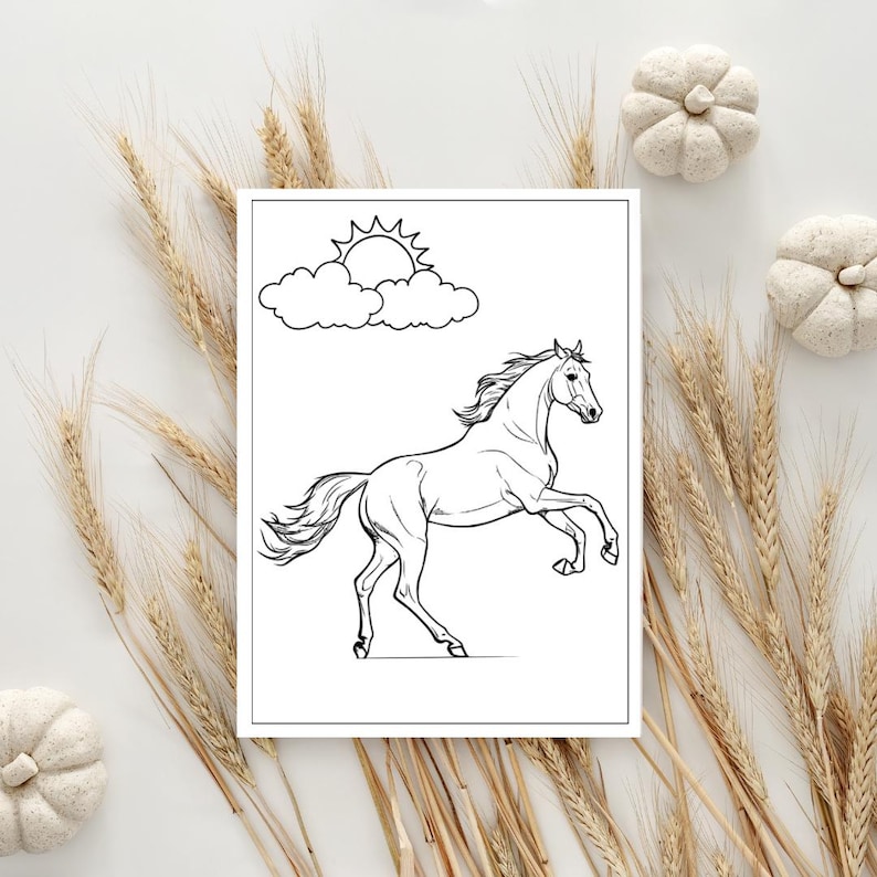 May include: A black and white line drawing of a horse running with a sun and cloud in the background. The horse is in mid-air with its legs extended.