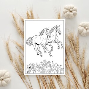 May include: A black and white colouring page featuring two horses running through a field of flowers.