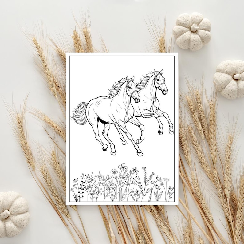 May include: A black and white colouring page featuring two horses running through a field of flowers.