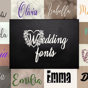 Moderne Hochzeitsschriftarten - Procreate Schriftarten | Cricut Schriftarten |  Canva Schriftarten | Branding Schriftart | Schriftarten für Cricut |  Hochzeit-Schriftarten | M012