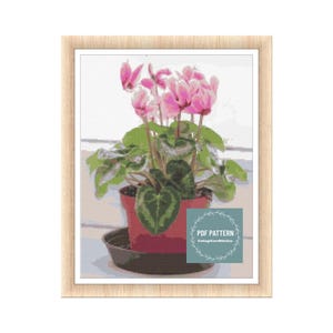 May include: A cross stitch pattern featuring a pink cyclamen plant in a terracotta pot. The pattern is titled "PDF PATTERN CottageCoreStitches".
