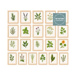 Può includere: Una collezione di venti schemi a punto croce in cornici quadrate raffiguranti varie erbe verdi e fiori. Ogni cornice contiene un'illustrazione botanica dettagliata su sfondo bianco. Un riquadro blu mostra il testo PDF PATTERN.
