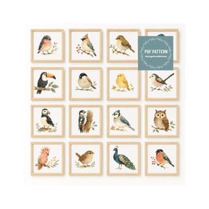 Puede incluir: Una colección de dieciséis patrones de punto de cruz cuadrados con varias especies de aves, incluyendo un tucán, un frailecillo, un búho y un pavo real, en marcos de madera clara. Un cuadrado azul contiene el texto PDF PATTERN CottageCoreStitches.