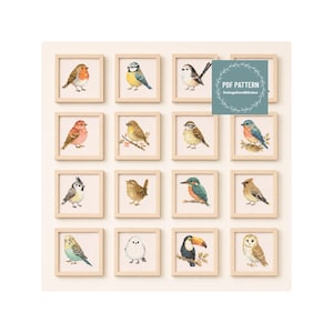 Op de afbeelding: Een verzameling van zestien vierkante ingelijste aquarelillustraties van diverse vogels, waaronder een roodborstje, pimpelmees, ijsvogel en toekan. Een blauwgroen vierkant bevat de witte tekst PDF PATTERN CottageCoreStitches.