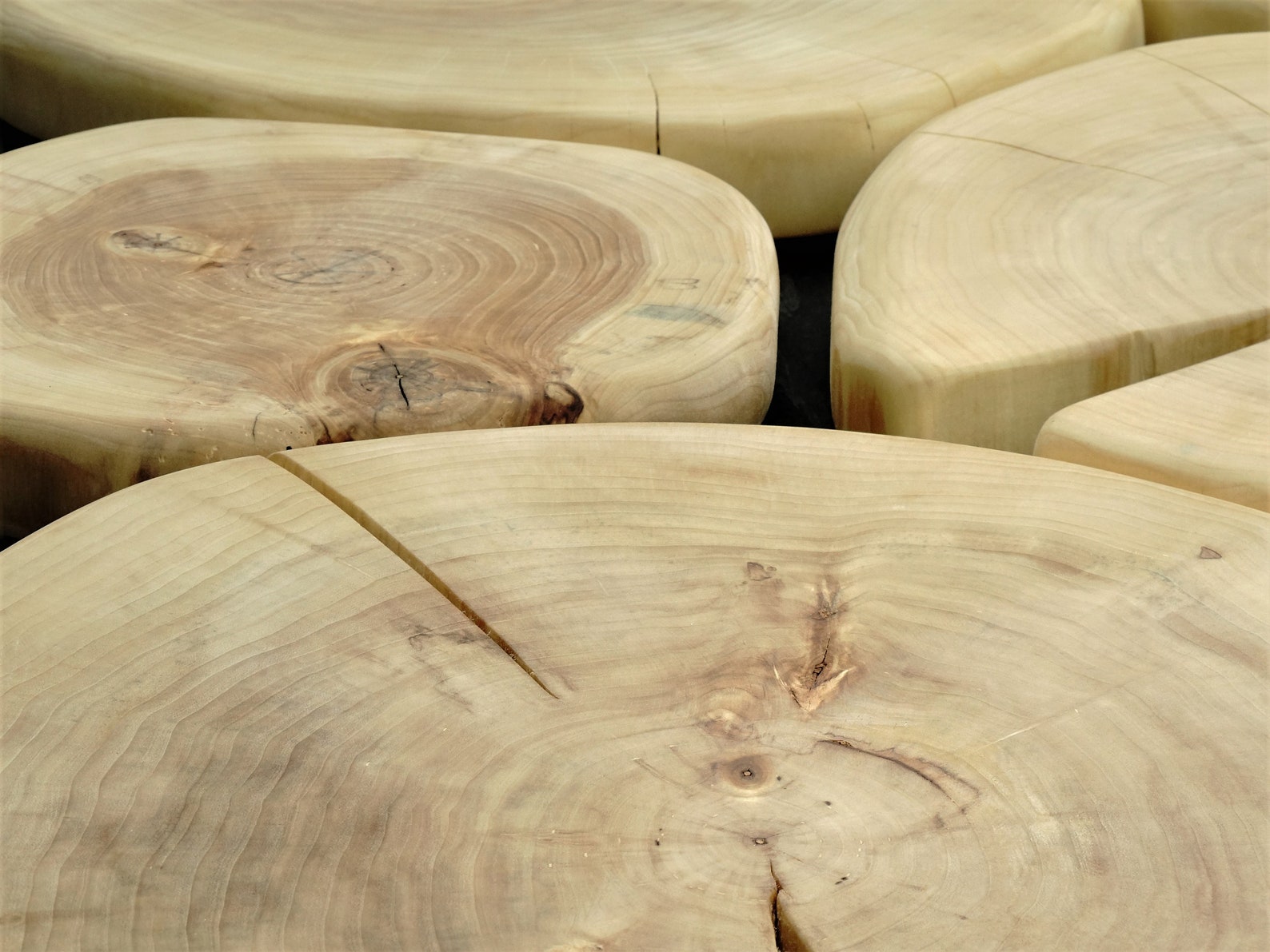 Wooden Slabs Wall Art Large Tree Trunk Wall Hanging Tree Etsy Canada