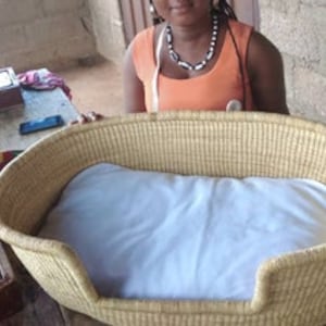 Cushion for Dog Bed Basket
