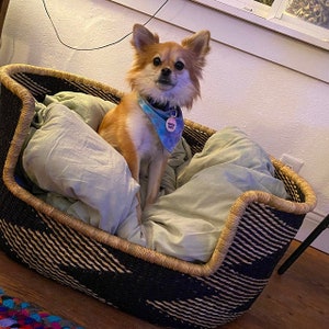 Woven Dog Bed Basket Small to XXL Dog Bed Large Bed for Large Dogs Elegance, Decorative Bed for Your Dog Comfortable Dog Bed / Mocha Dog Bed image 4