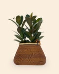 Pot Basket, Flower Basket, Decorative Basket, Plant Basket, Home Decor Basket, Woven Plant Basket,Storage Basket, Handwoven Basket product logo