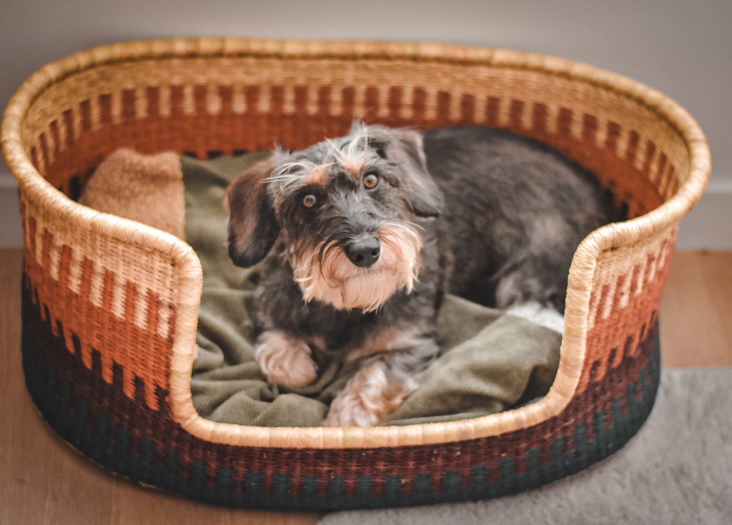 手編みのボルガ犬用ベッドバスケット：天然素材の編み込みペットベッド