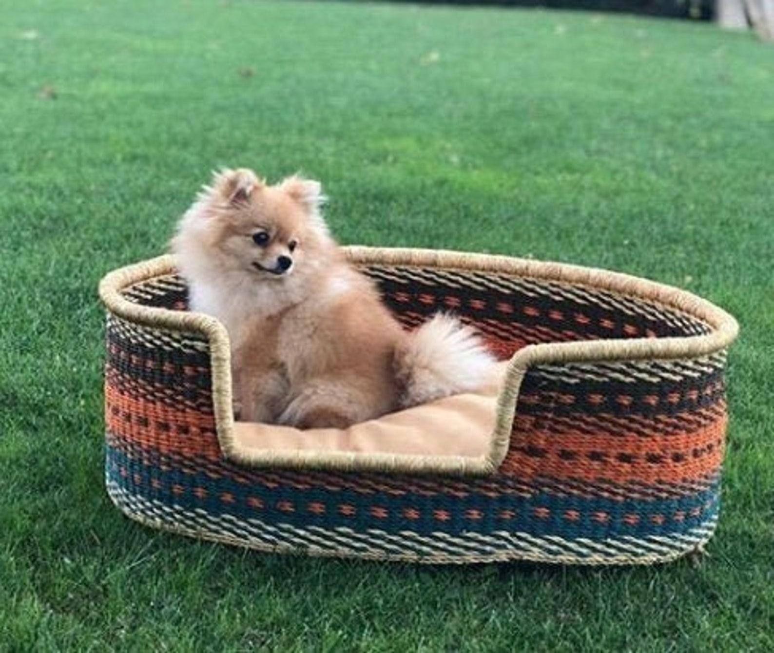 12+ Beautiful Rattan Dog Beds For Australians (2023 Update)