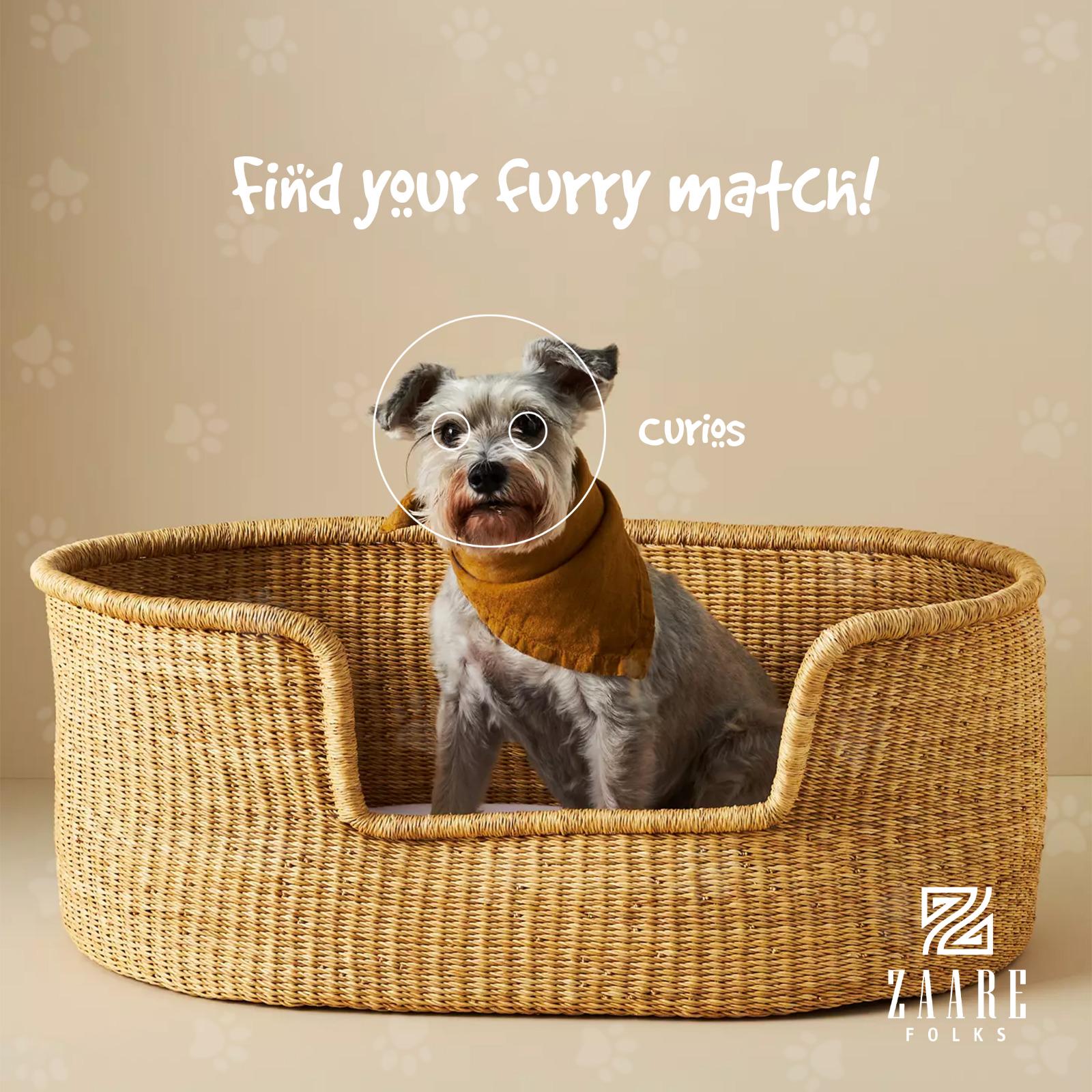 手編みのボルガ犬用ベッドバスケット：天然素材の編み込みペットベッド