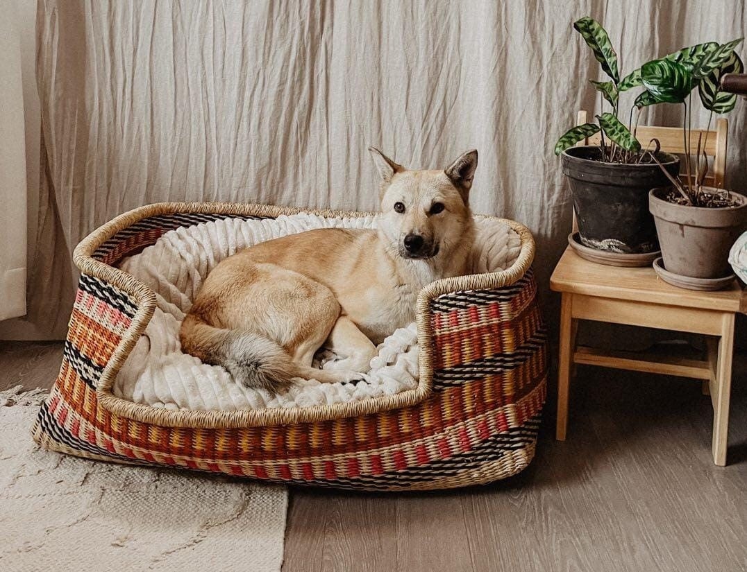 手編みのボルガ犬用ベッドバスケット：環境に優しい象の草のペット