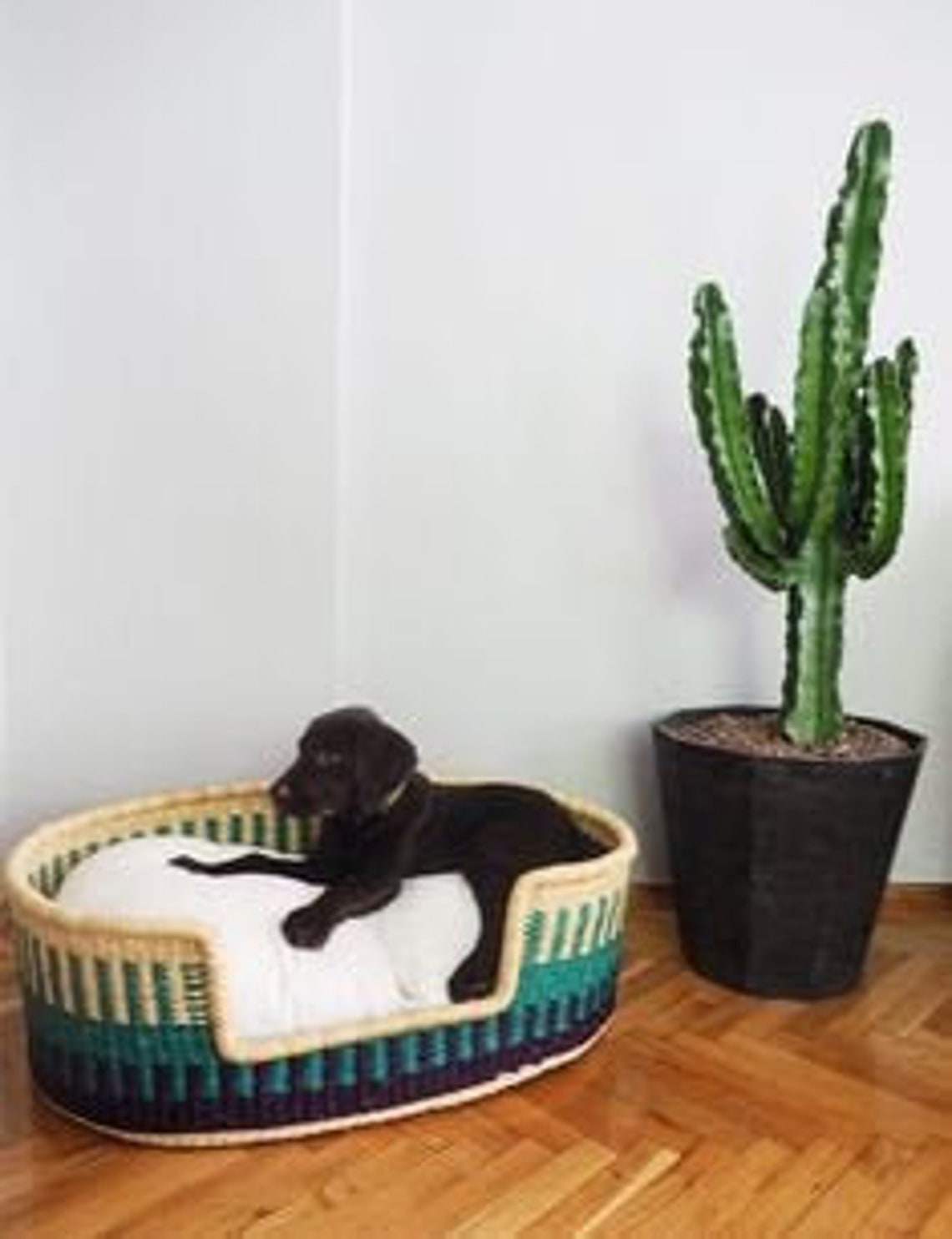 Handwoven Dog Basket Dog Bed Dog Furniture Custom Pet Bed Etsy UK