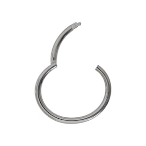 May include: A silver hinged segment ring, a type of body jewellery.