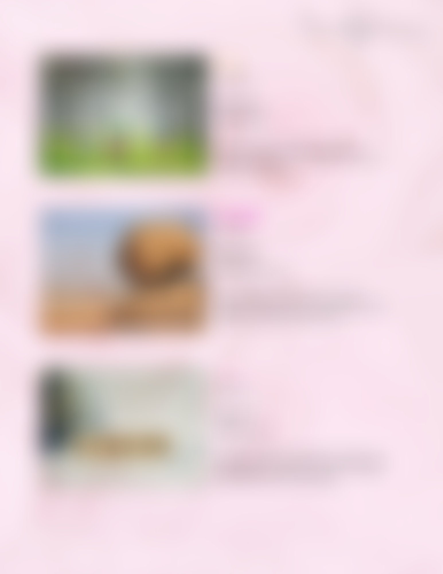 Drawing Label Guide Bible Tab Labeling Guide - Etsy