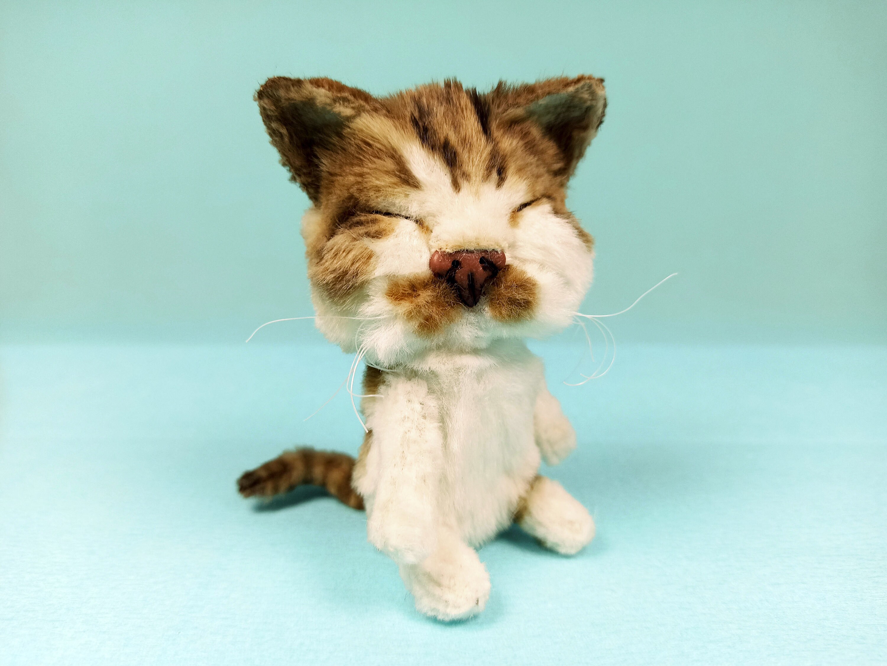 Custom plush cat Cat replica Cat stuffed animal miniature Etsy